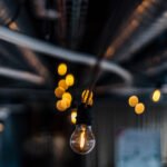 Le Bokeh, le Flou Qui Sublime Vos Images