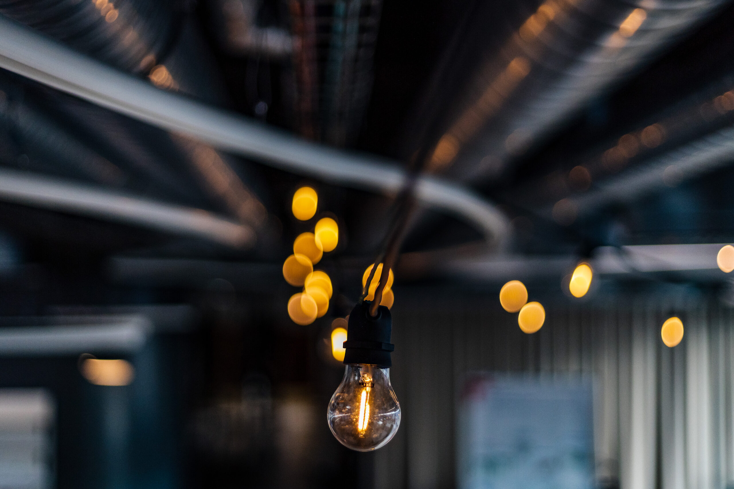 Le Bokeh, le Flou Qui Sublime Vos Images